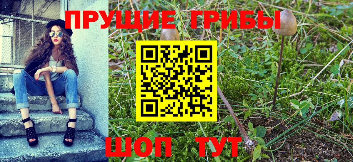 Сатка  Псилоцибиновые грибы MAGIC MUSHROOMS  Вход с VPN 
