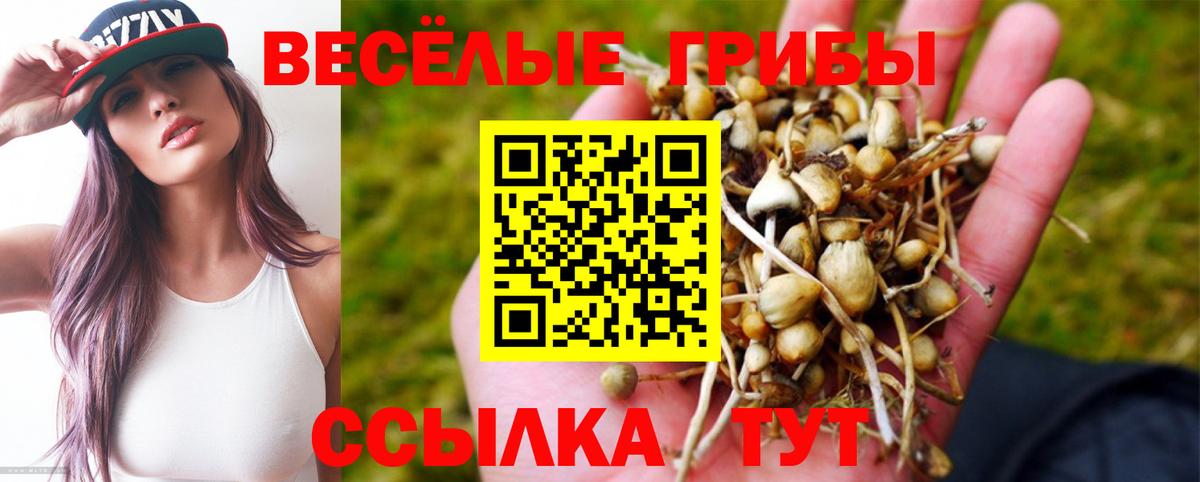 Галлюциногенные грибы мухоморы Сатка
